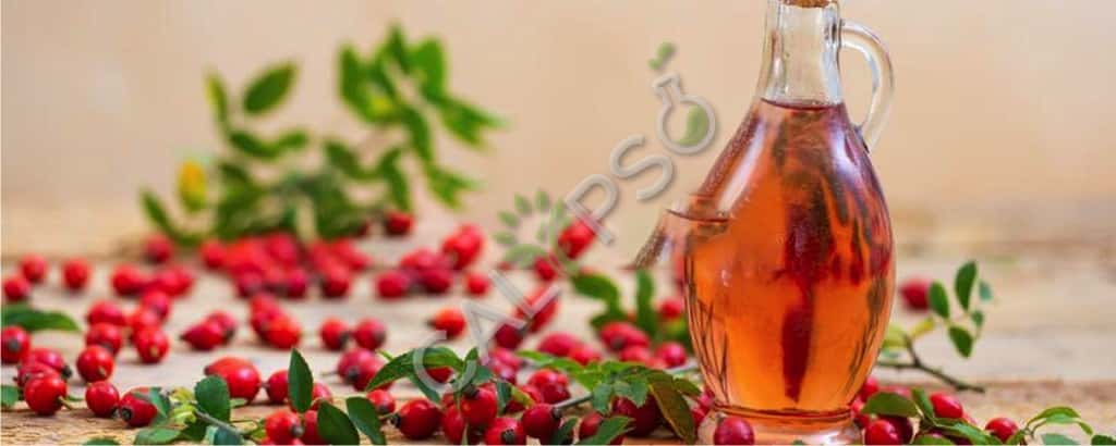 Купить 100% чистую носитель розового носителя для кожи